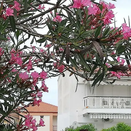 Hanioti Apartment 아파트